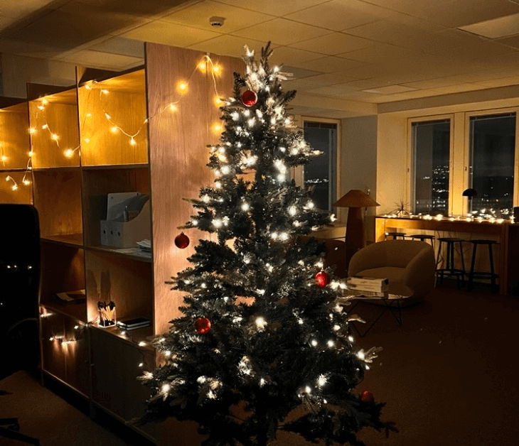 Vison_Christmas_2025