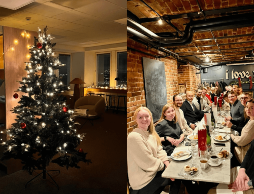 Katsaus Visonin vuoteen 2025